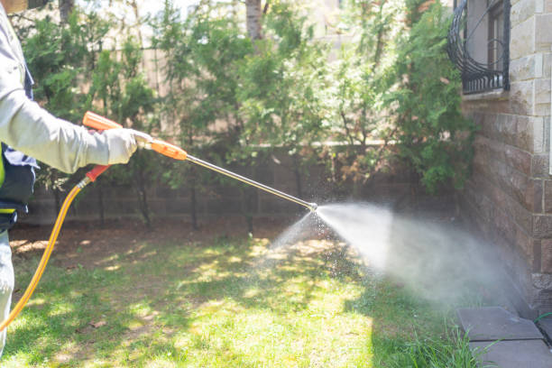Best Flea Control Services  in Lake Winnebago, MO