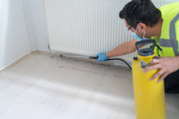 Best Affordable Pest Control Services  in Lake Winnebago, MO