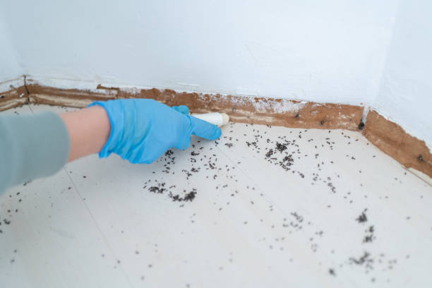 Best Best Pest Control Companies  in Lake Winnebago, MO